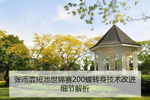张雨霏短池世锦赛200蝶转身技术改进细节解析